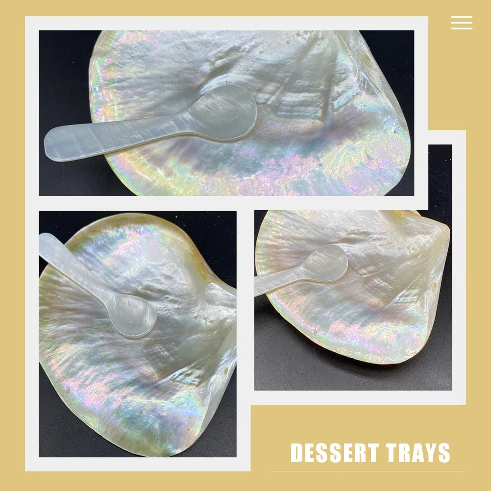 Supplies Shell Tableware and Crafts Kits