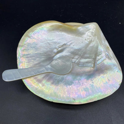 Supplies Shell Tableware and Crafts Kits